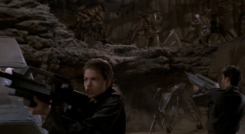 Carmen Ibanez en pleine "désinsectisation"